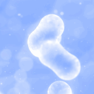 Legionella Awareness